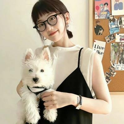 抱着黄金飞翔