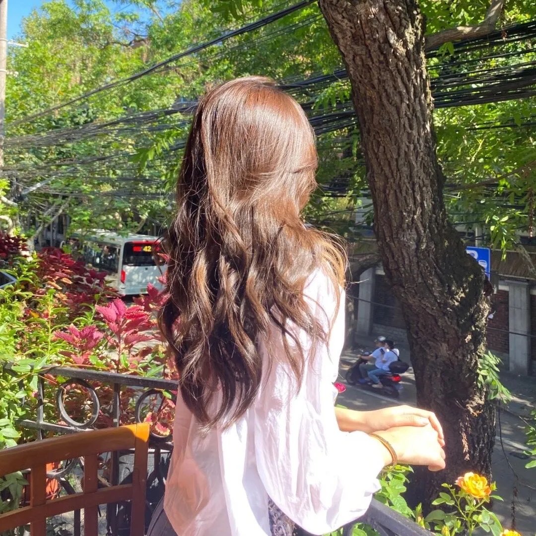 海达尔